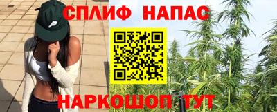 трава Заводоуковск
