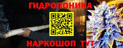 трава Заводоуковск